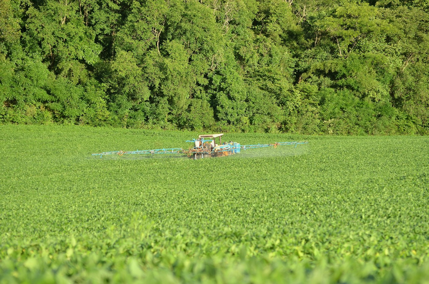 Pulverizador agrícola aplicando niebla sobre un amplio campo de cultivos.